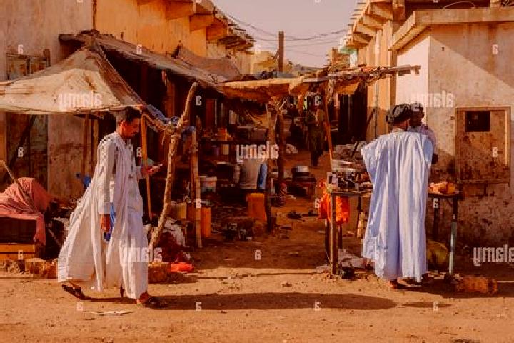 Ivy, 20 — Escort in El Ayoun, Mauritania