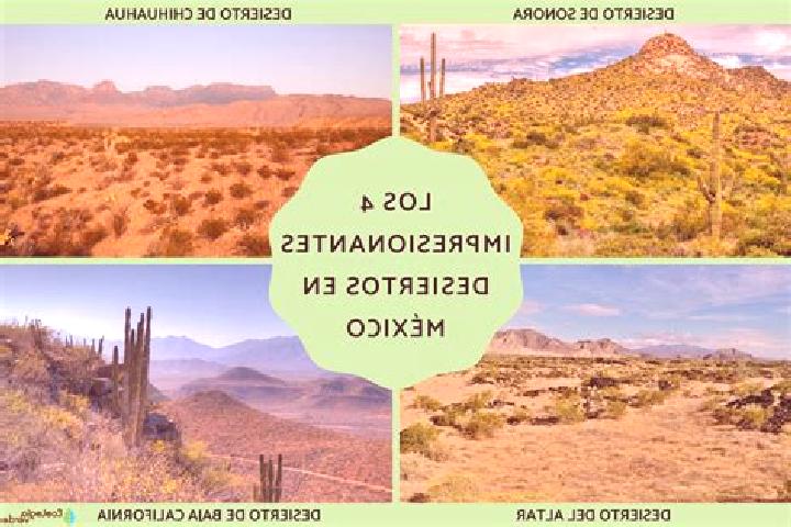 Ivy, 20 — Escort in El Desierto, Mexico
