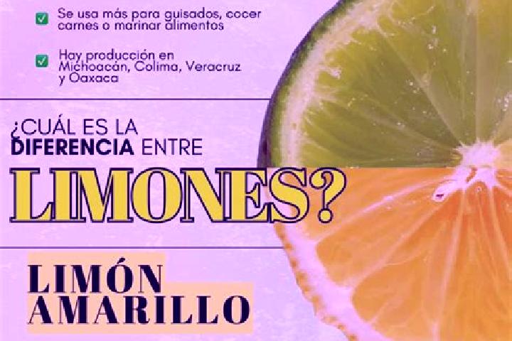 Ivy, 20 — Escort in El Limoncito, Mexico