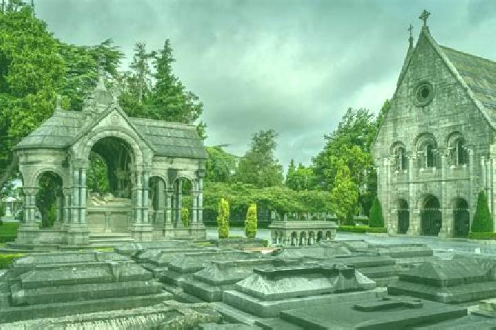 Ivy, 20 — Escort in Glasnevin, Ireland