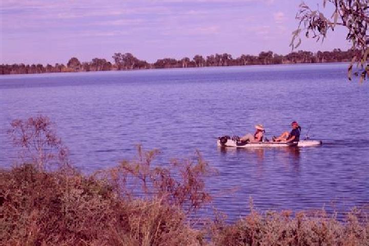Ivy, 20 — Escort in Lake Cargelligo, Australia