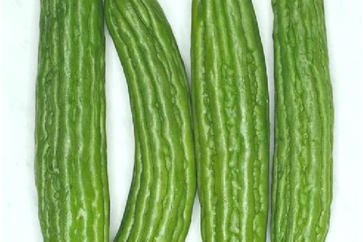 Ivy, 20 — Escort in Melon, Spain