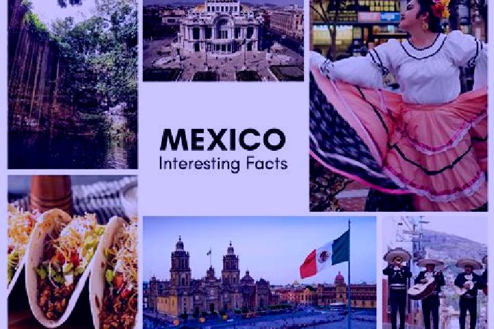 Ivy, 20 — Escort in Patlicha, Mexico