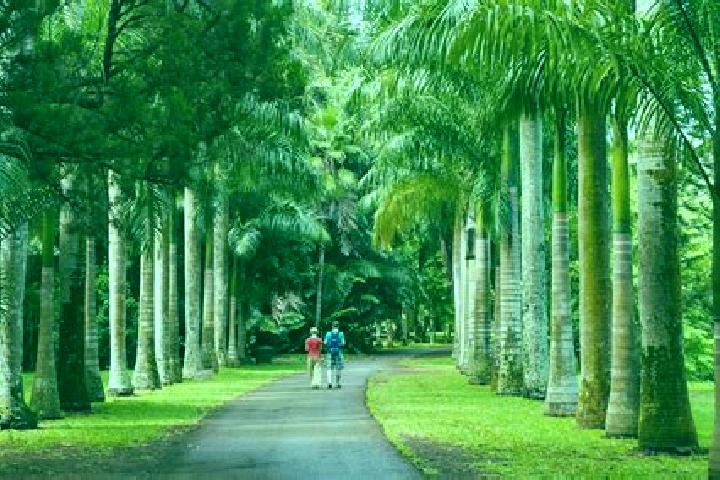 Ivy, 20 — Escort in Plaines des Roches, Mauritius