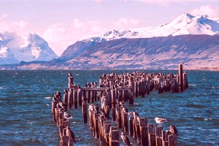 Ivy, 20 — Escort in Puerto Natales, Chile