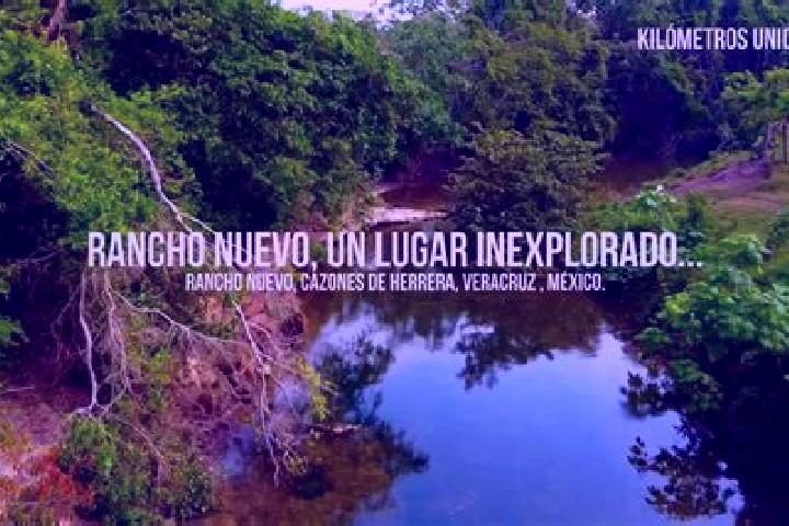Ivy, 20 — Escort in Rancho Nuevo del Llanito, Mexico