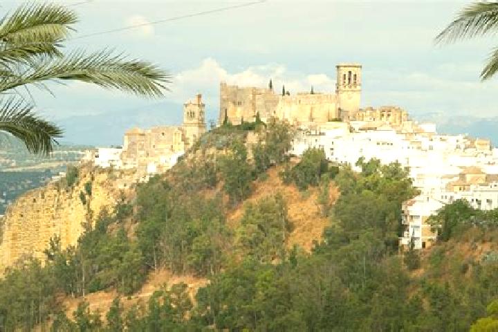 Ivy, 20 — Escort in Rosal de la Frontera, Spain