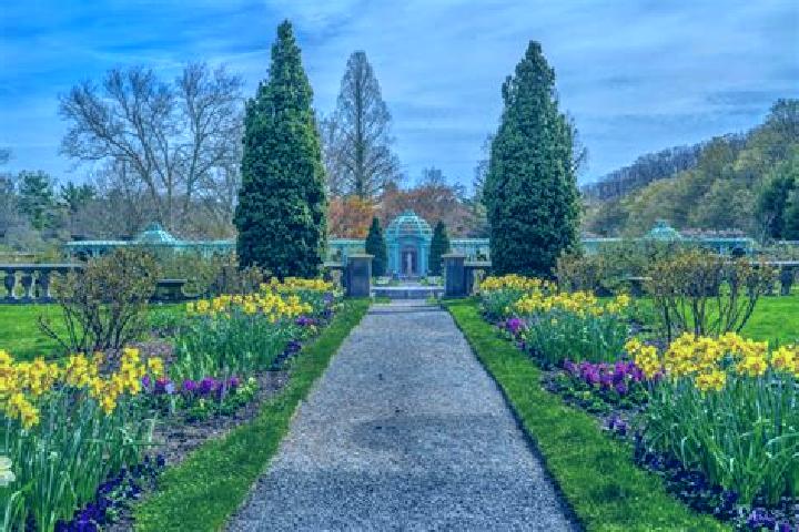 Ivy, 20 — Escort in Royal Gardens, Canada