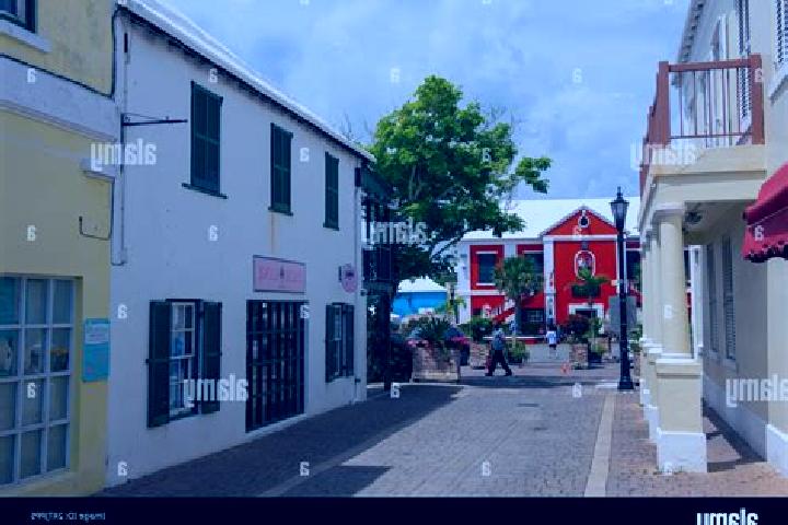 Ivy, 20 — Escort in Saint George, Bermuda