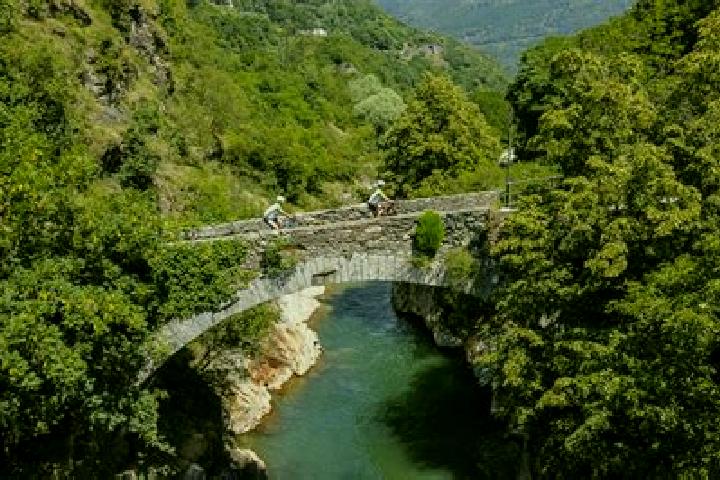 Ivy, 20 — Escort in Valle Salimbene, Italy