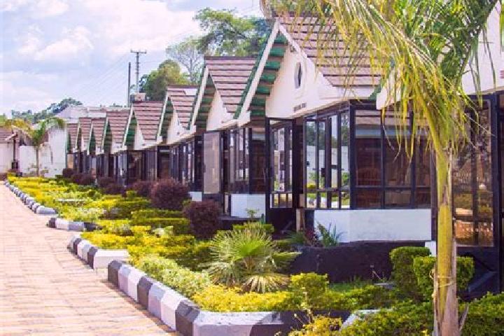 Ivy, 20 — Escort in Webuye, Kenya