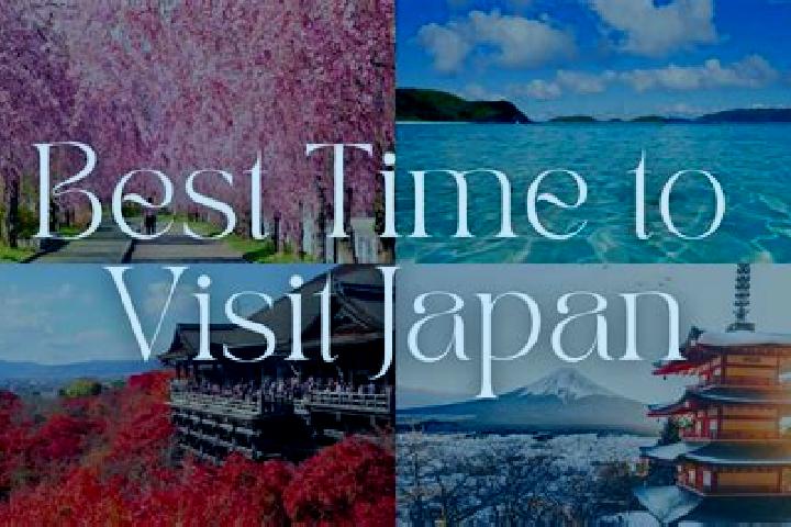 Ivy, 21 — Escort in Ama, Japan