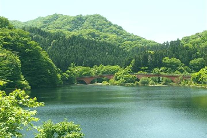 Ivy, 21 — Escort in Annaka, Japan
