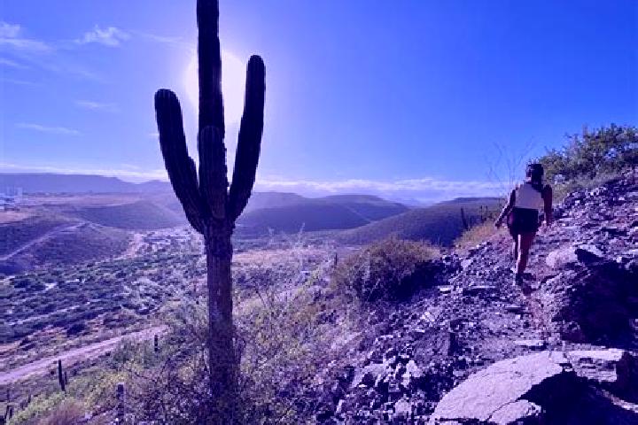 Ivy, 21 — Escort in Cerro de Piedra, Mexico