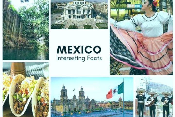 Ivy, 21 — Escort in Chiquihuitillo, Mexico