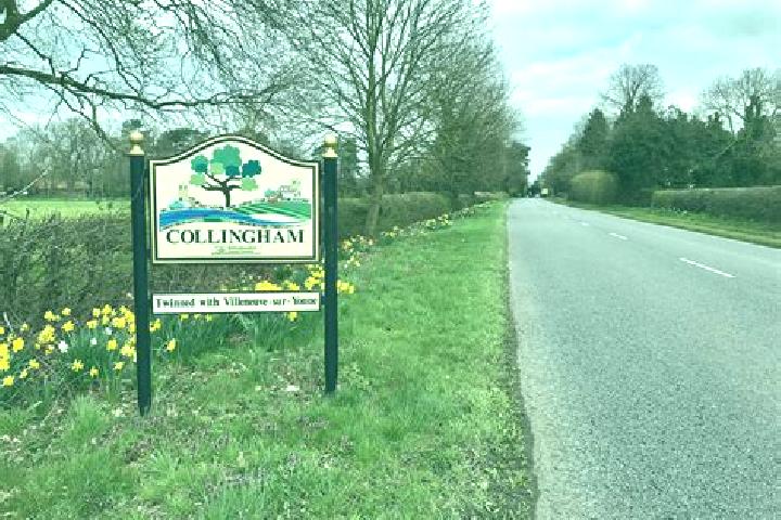 Ivy, 21 — Escort in Collingham, United Kingdom