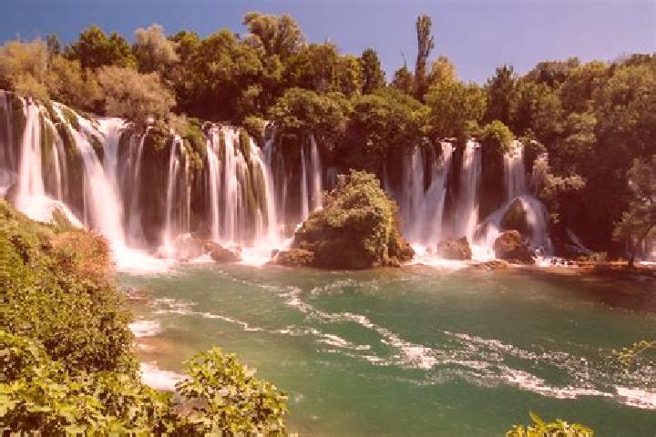 Ivy, 21 — Escort in Crnici, Bosnia and Herzegovina