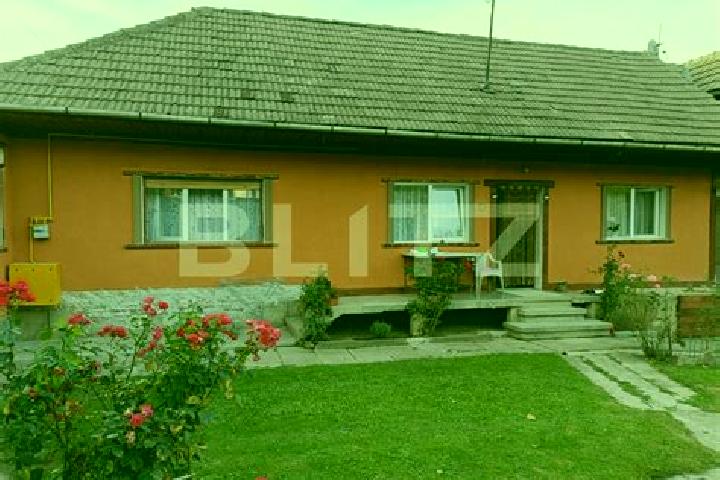 Ivy, 21 — Escort in Cuciulata, Romania