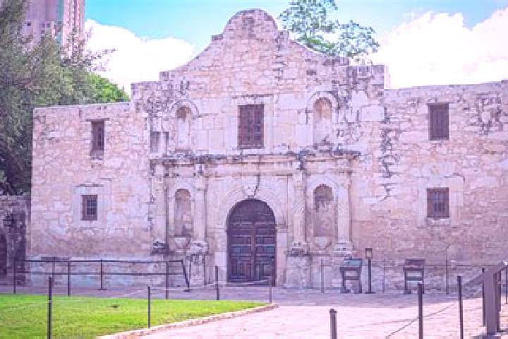 Ivy, 21 — Escort in El Alamo, Mexico