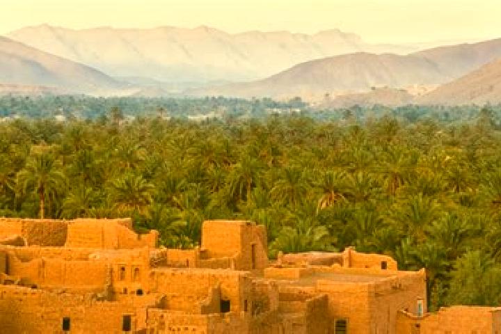 Ivy, 21 — Escort in El Ouatia, Morocco