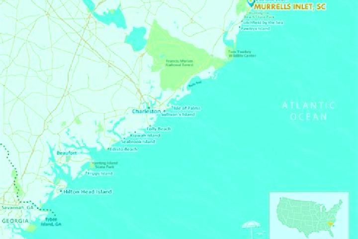 Ivy, 21 — Escort in Murrells Inlet, United States