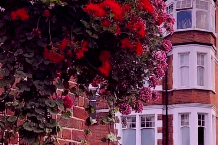Ivy, 21 — Escort in Muswell Hill, United Kingdom