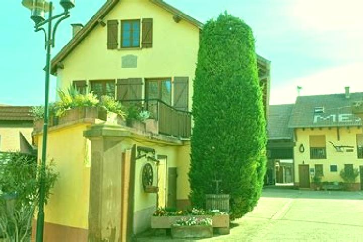 Ivy, 21 — Escort in Oberschaeffolsheim, France