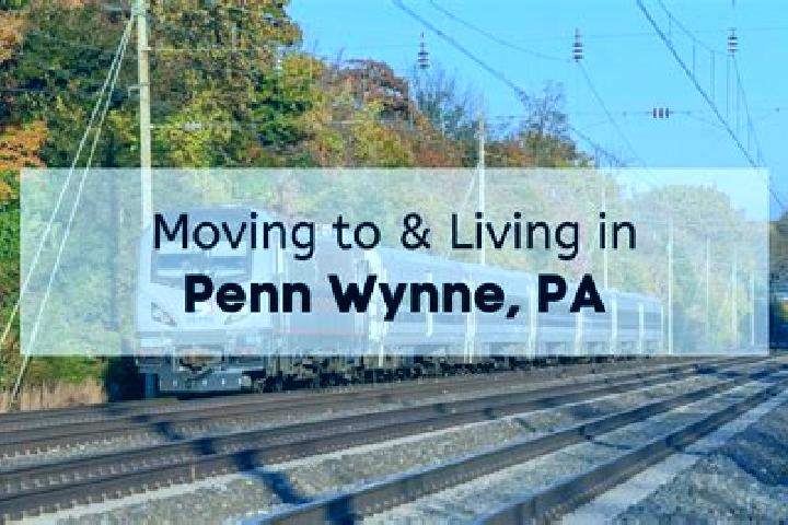 Ivy, 21 — Escort in Penn Wynne, United States