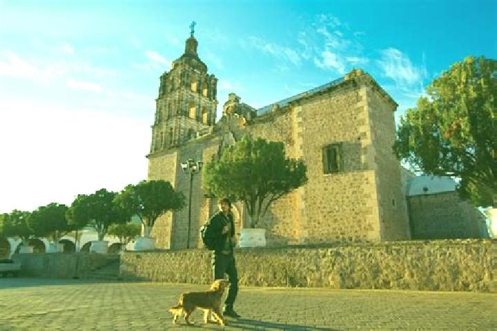 Ivy, 21 — Escort in Santa Maria de Alamos, Mexico