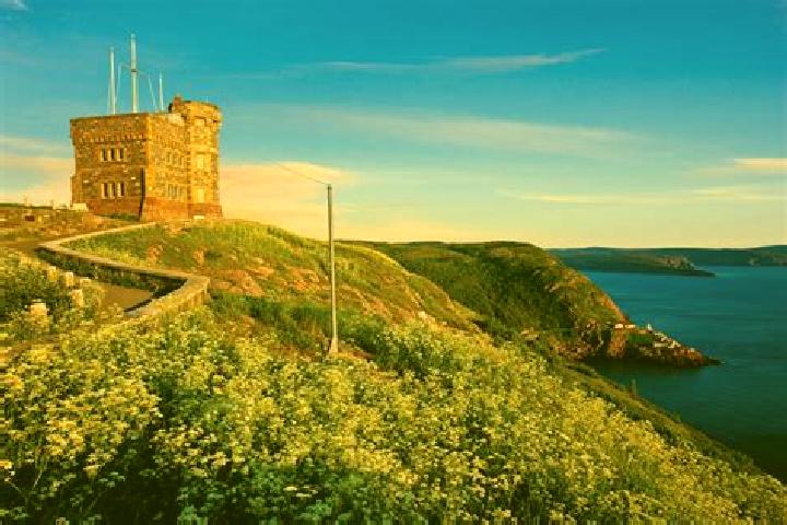 Ivy, 21 — Escort in Signal Hill, Canada