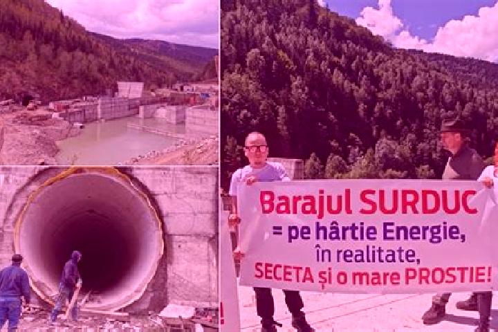 Ivy, 21 — Escort in Surduc, Romania