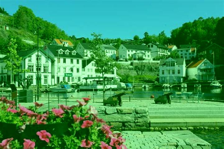 Ivy, 21 — Escort in Tvedestrand, Norway