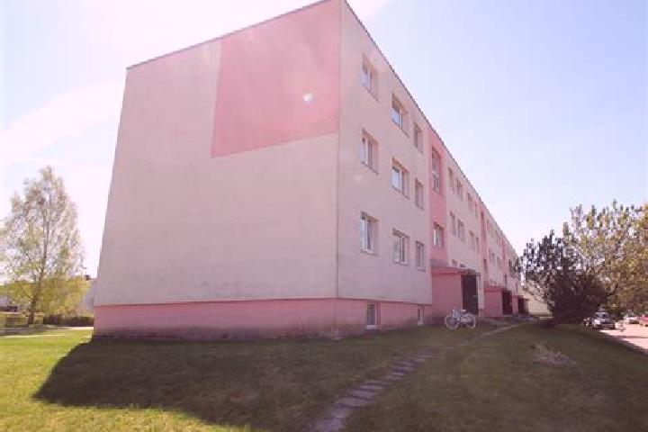 Ivy, 21 — Escort in Vaendra, Estonia