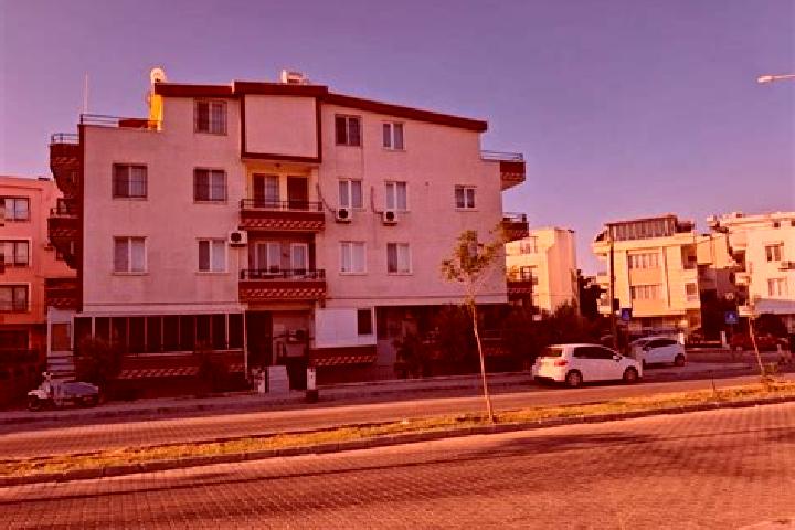 Ivy, 22 — Escort in Altinkum, Turkey