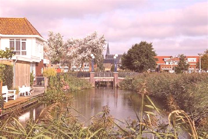 Ivy, 22 — Escort in Egmond aan den Hoef, Netherlands