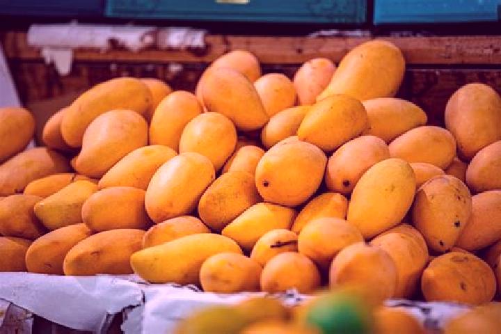 Ivy, 22 — Escort in El Mango, Mexico