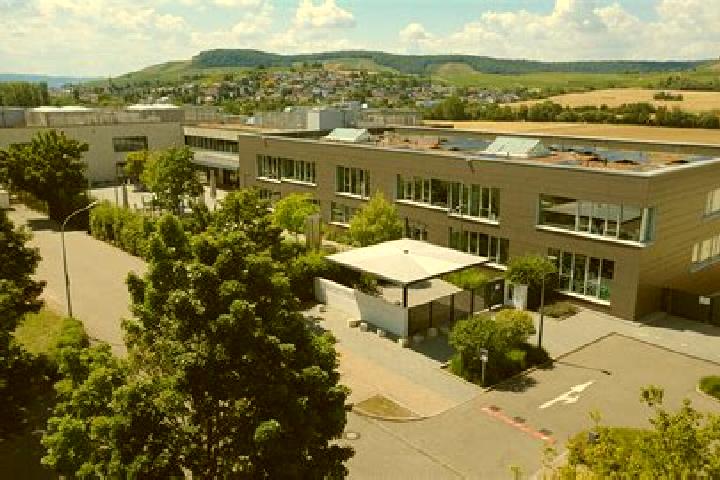 Ivy, 22 — Escort in Erlenbach / rechts des Dorfbachs unterhalb Bahnlinie, Switzerland