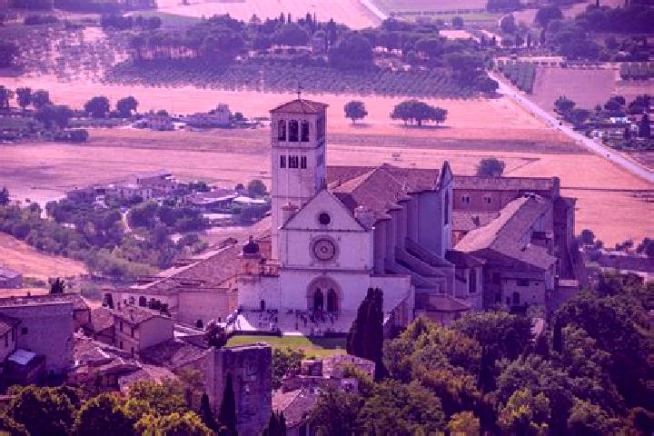 Ivy, 22 — Escort in Fossato Ionico-Fossatello-San Luca Marcelluzzo, Italy