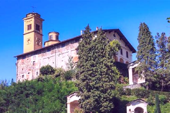 Ivy, 22 — Escort in San Giacomo Vercellese, Italy
