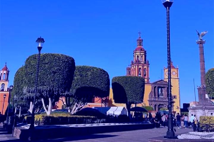 Ivy, 22 — Escort in San Juan del Estado, Mexico