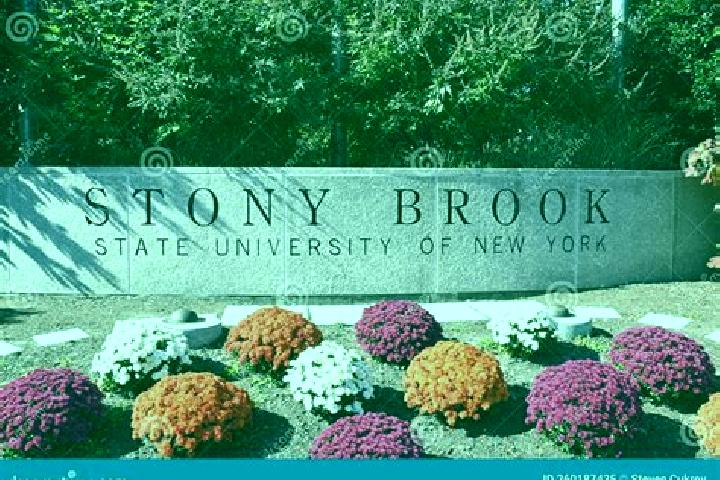 Ivy, 22 — Escort in Stonybrook, United States