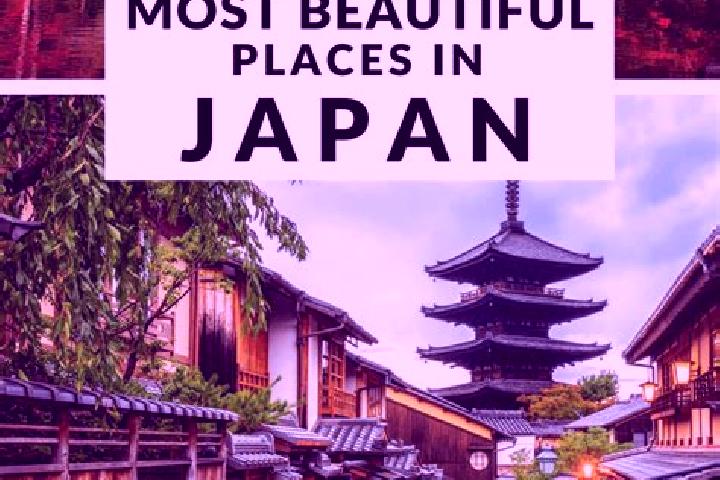 Ivy, 22 — Escort in Tamagawa, Japan