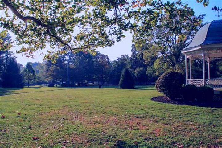 Ivy, 22 — Escort in Terrace Park, United States