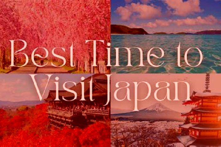 Ivy, 22 — Escort in Tokoname, Japan