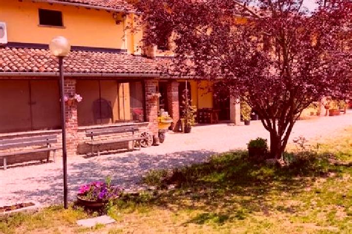 Ivy, 22 — Escort in Vellezzo Bellini, Italy