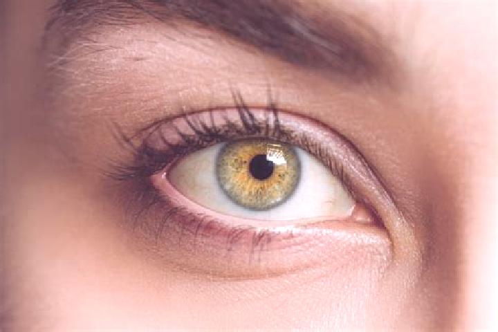 Ivy, 23, a auburn hazel-eyed mixed companion based in Beckenham. Offering Tantra, Domination, Massage, GFE, OWO. Available for incall and outcall, overnight ...