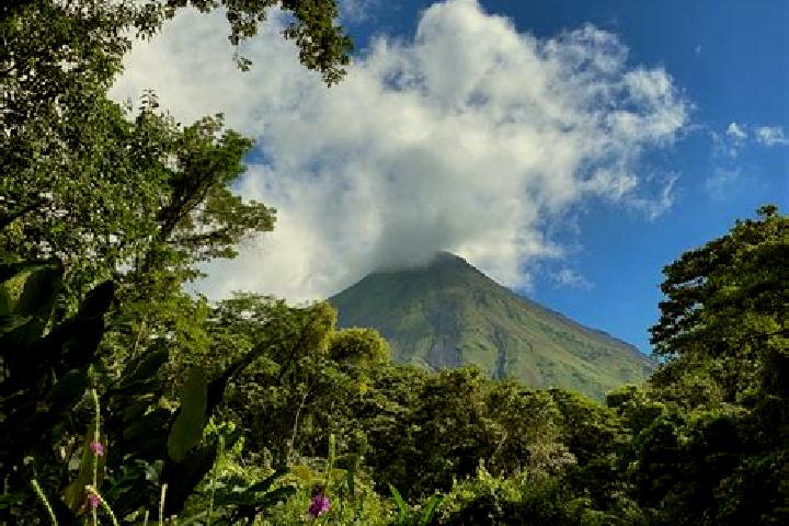 Ivy, 23 — Escort in Arenal, Honduras
