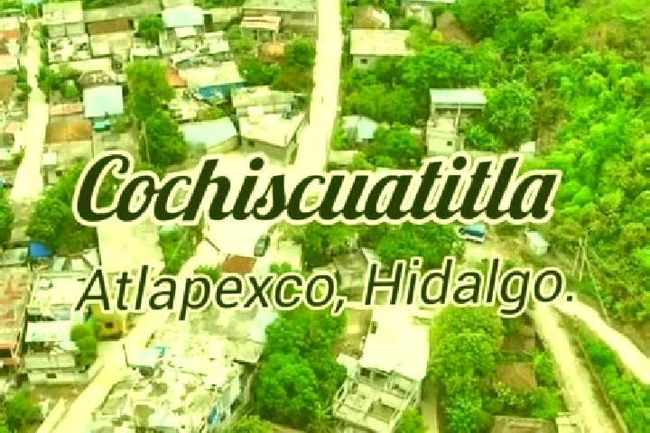 Ivy, 23 — Escort in Cochiscuatitla, Mexico