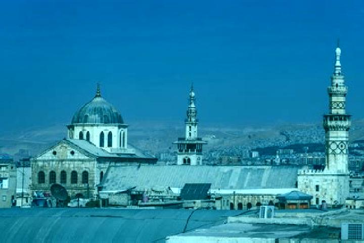 Ivy, 23 — Escort in Kabbasin, Syria
