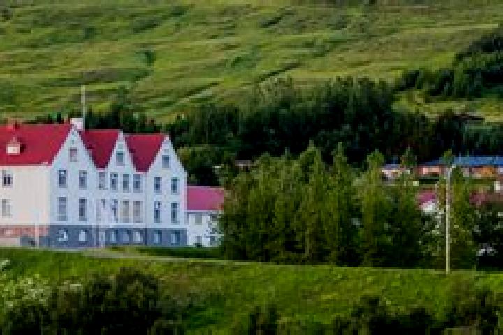 Ivy, 23 — Escort in Laugar, Iceland